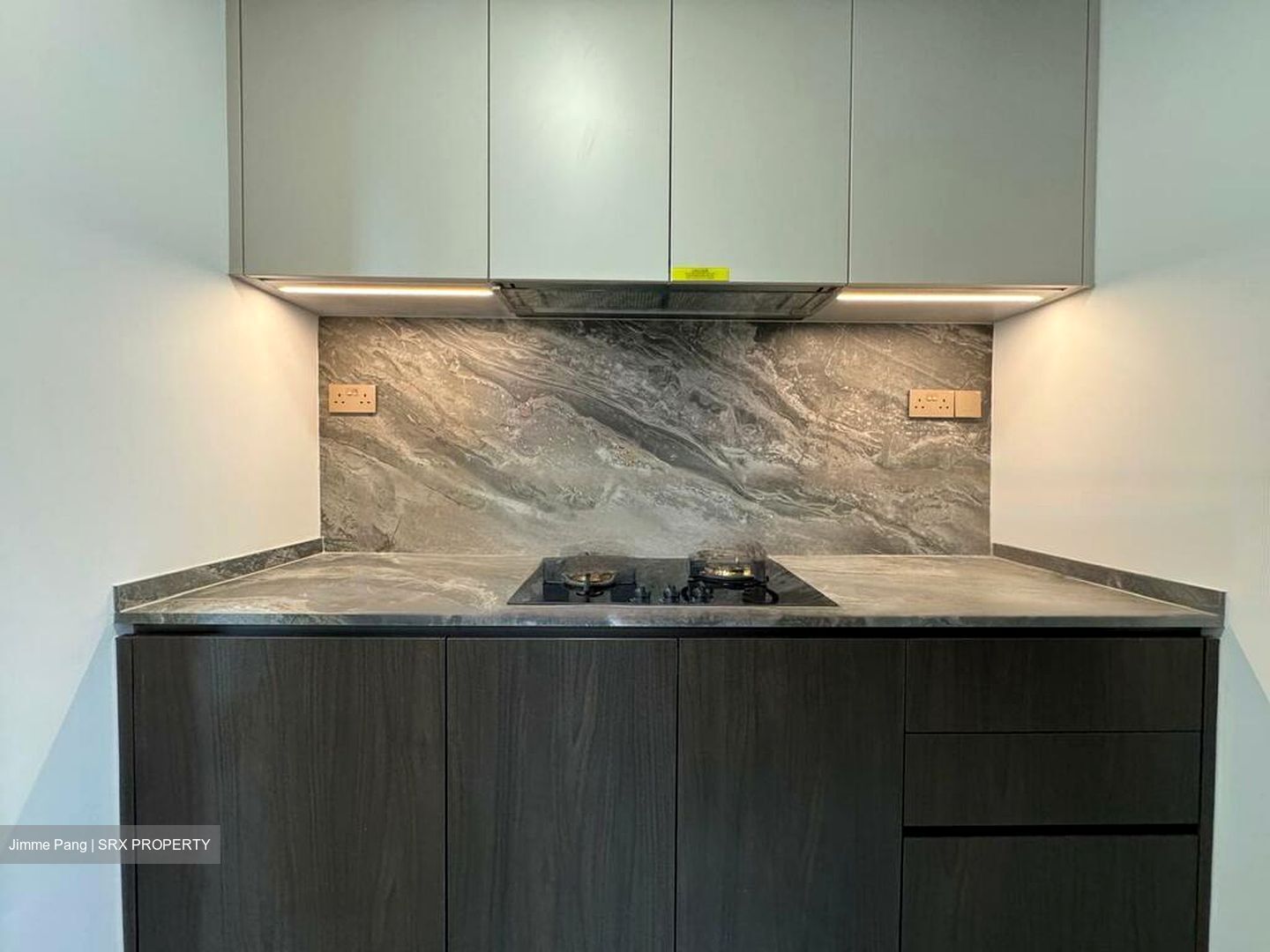 Leedon Green (D10), Condominium #460364341